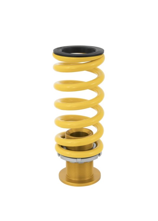 (image for) Ohlins 17-21 Honda Civic Type R (FK8) 23 Honda Civic Type R (FL5) Road & Track Coilover System