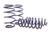 (image for) H&R 11-17 BMW X3 F25 Sport Spring