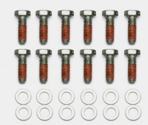 (image for) Wilwood Bolt Kit - 5/16-18 x 1.00 LG - 12 pk