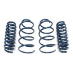 Dinan 08-11 BMW M3 (E90) Performance Spring Set (image for) Dinan 08-11 BMW M3 (E90) Performance Spring Set