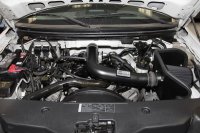 (image for) K&N 04-08 Ford F150 V8-5.4L/04-07 Ford Lobo 5.4L V8 Blackhawk Perf Intake Kit