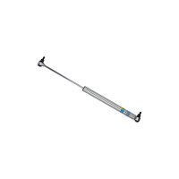(image for) Bilstein B6 99-04/06-13 Ford F53 Steering Damper