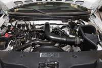 (image for) K&N 04-08 Ford F150 V8-5.4L/04-07 Ford Lobo 5.4L V8 Blackhawk Perf Intake Kit