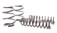 (image for) H&R 96-03 BMW 540i E39 Sport Spring (Non Touring & w/o Sport Susp.)
