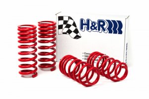 (image for) H&R 94-95 Ford Mustang/Mustang Cobra V8 Race Spring