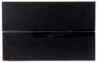 (image for) AEM C.A.S. 06-13 Lexus IS250 V6-2.5L F/I Cold Air Intake System